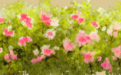 A rózsabokor sárkánya