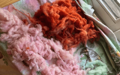 Szenzoros mesék világában – Macskacicó